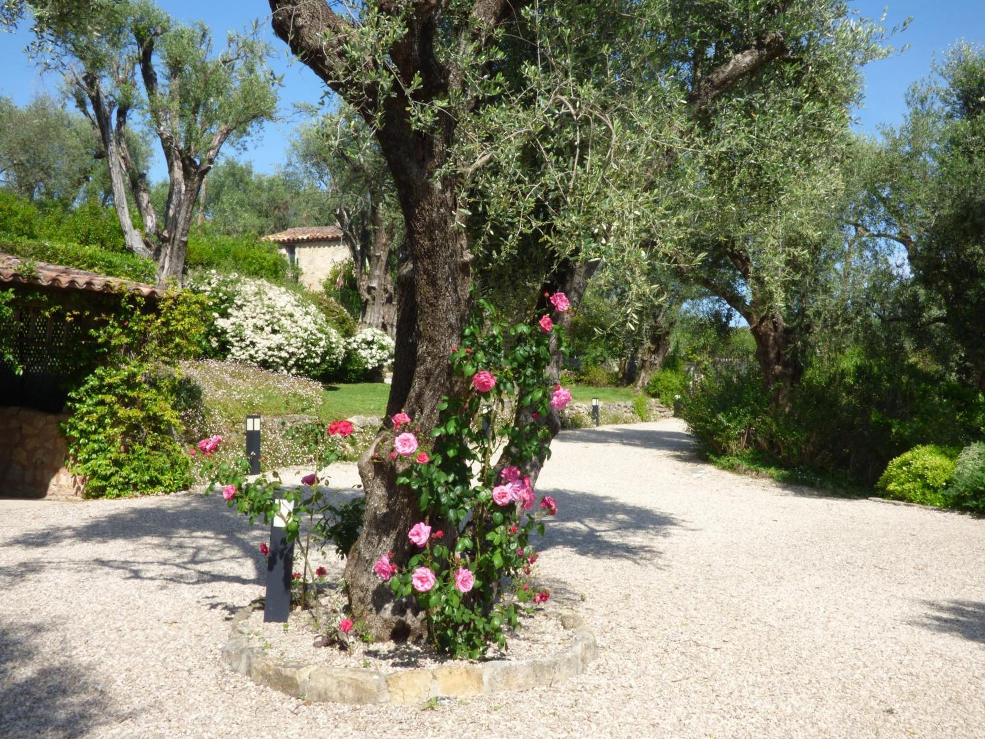 Apartment Picasso In Large Park With Heated Pool Chateauneuf-Grasse Bagian luar foto